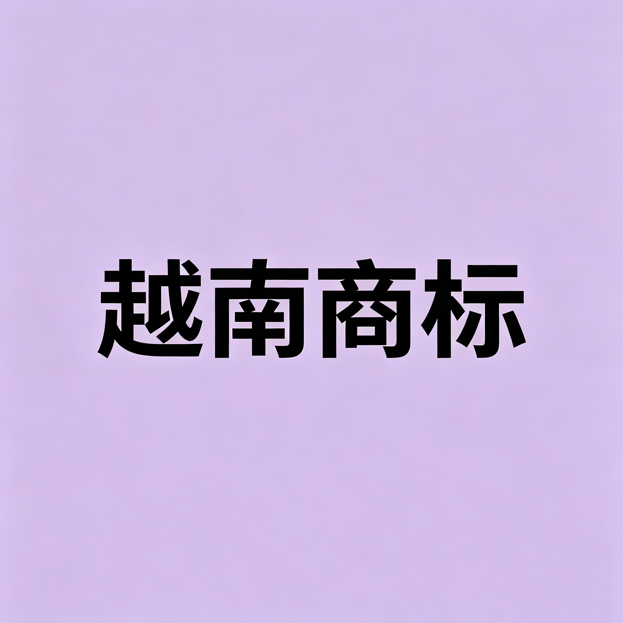 纯中文商标在越南能注册吗？驳回风险与“中文+英文+图形”组合策略